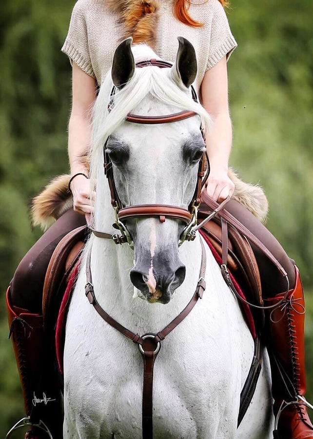 nabila head ridden