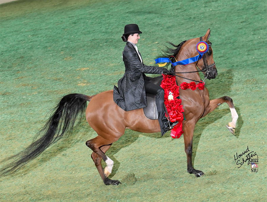 Heirs Noble Love (Afires Heir x Noble Aphrodite), bred and owned by Karlton Kackson and Emily Shippee, up.