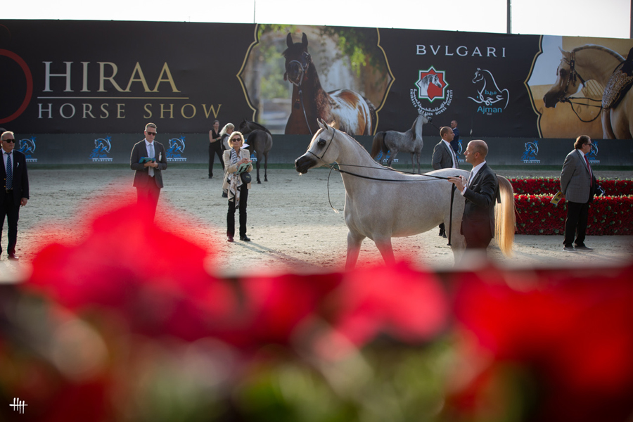 2024 hirra show OI7A5115