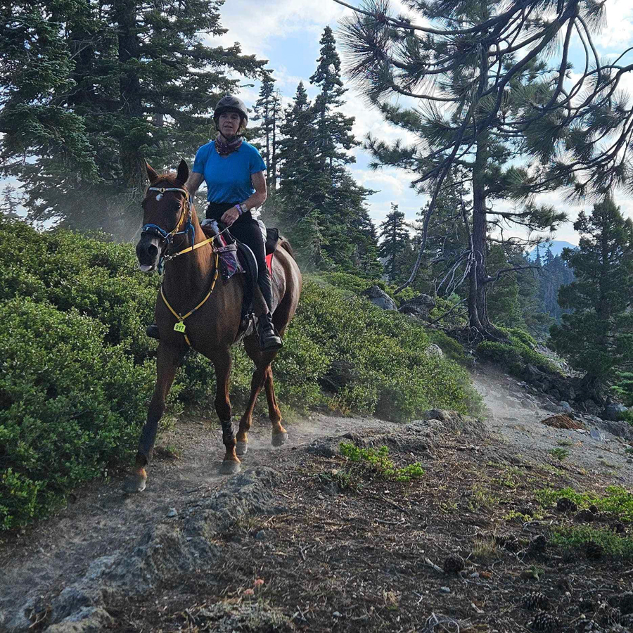 On the trail
