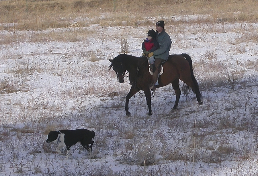 Brilliance SF (*Pepton x Billant Light by *Probat) taking Jeff and Flynn for a Thanksgiving Day ride.