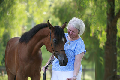 Wisdom From the Breeding Shed with Sherry ...