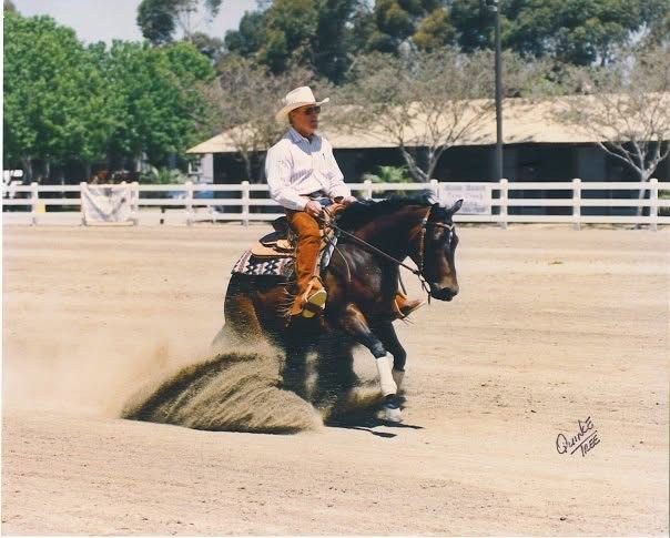 Life Lessons From the Reining Pen
