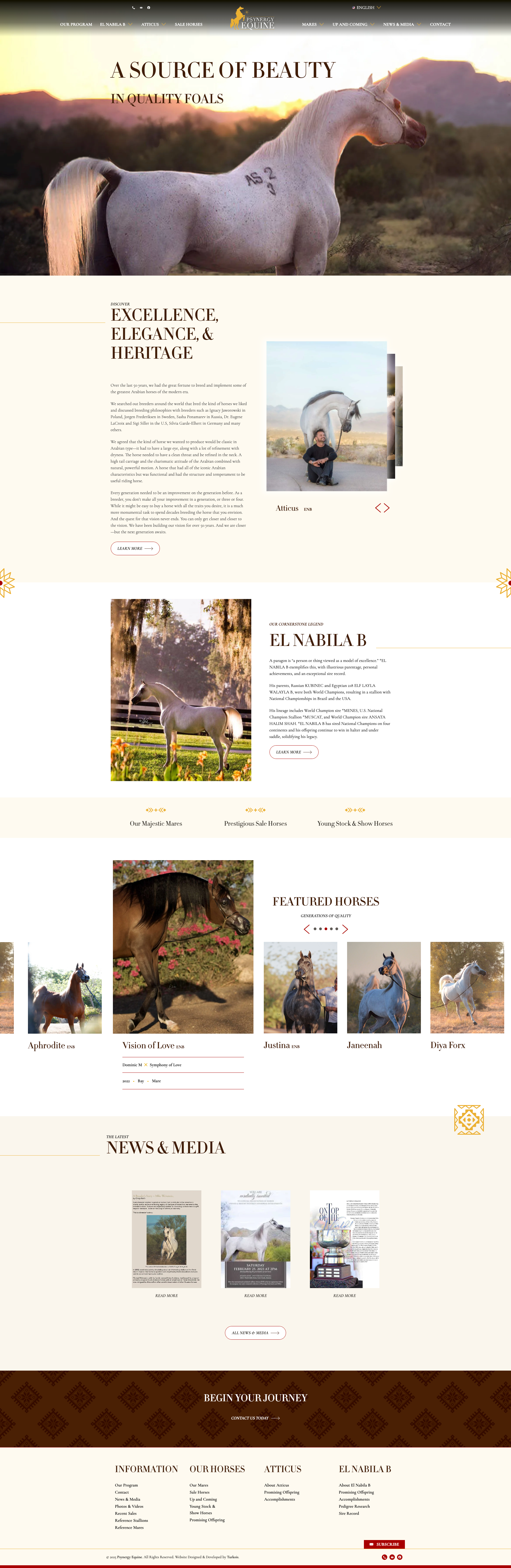 Psynergy Equine Launches New Website