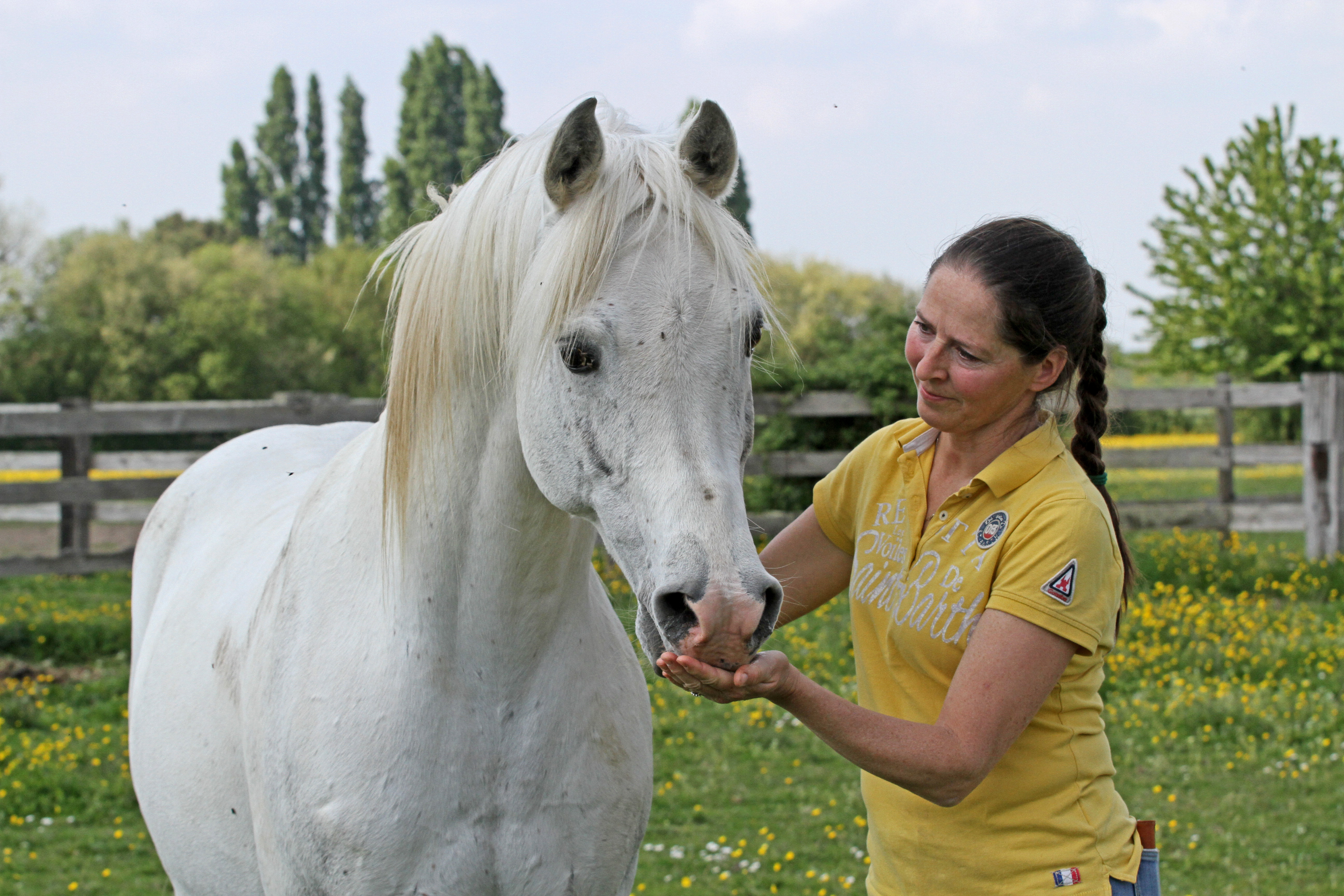 The Fearless Horses of La Motte Lubin