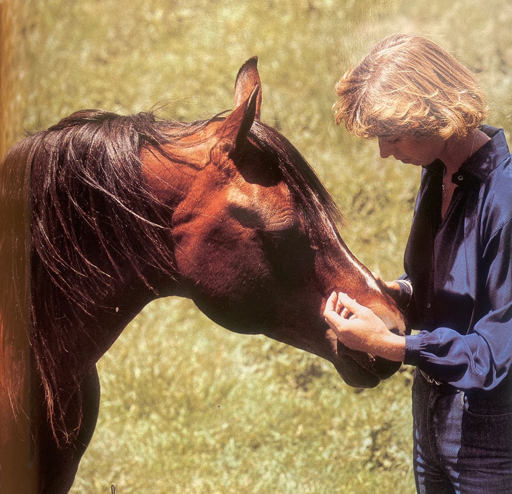 Whispers from the Tent — The Quiet Horseman