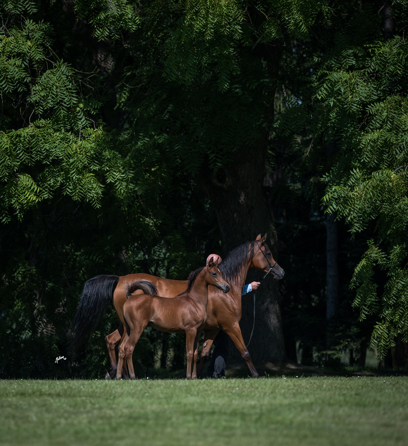 A Little Hope in Poland