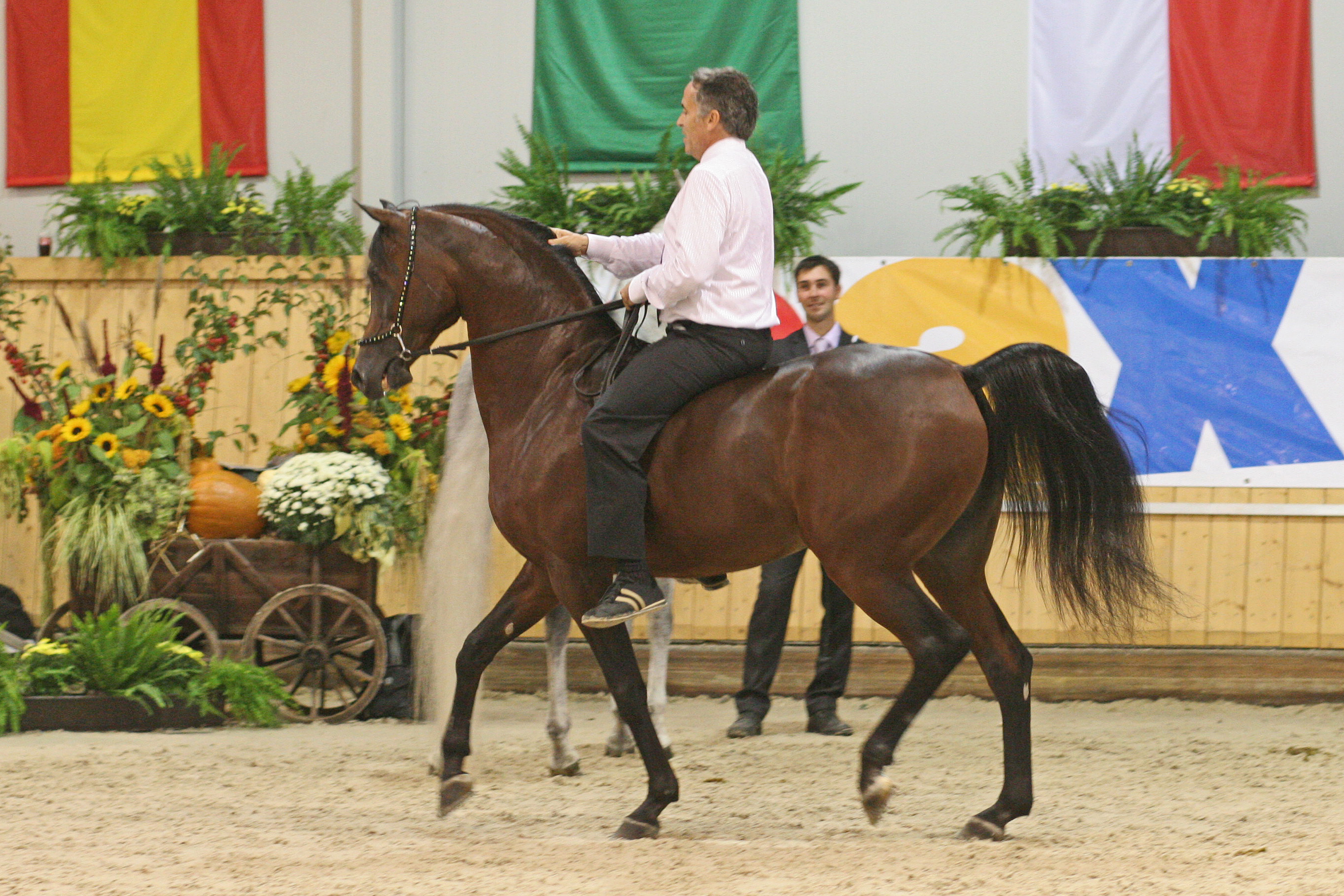 15. Michael Byatt and Marwan al Shaqab