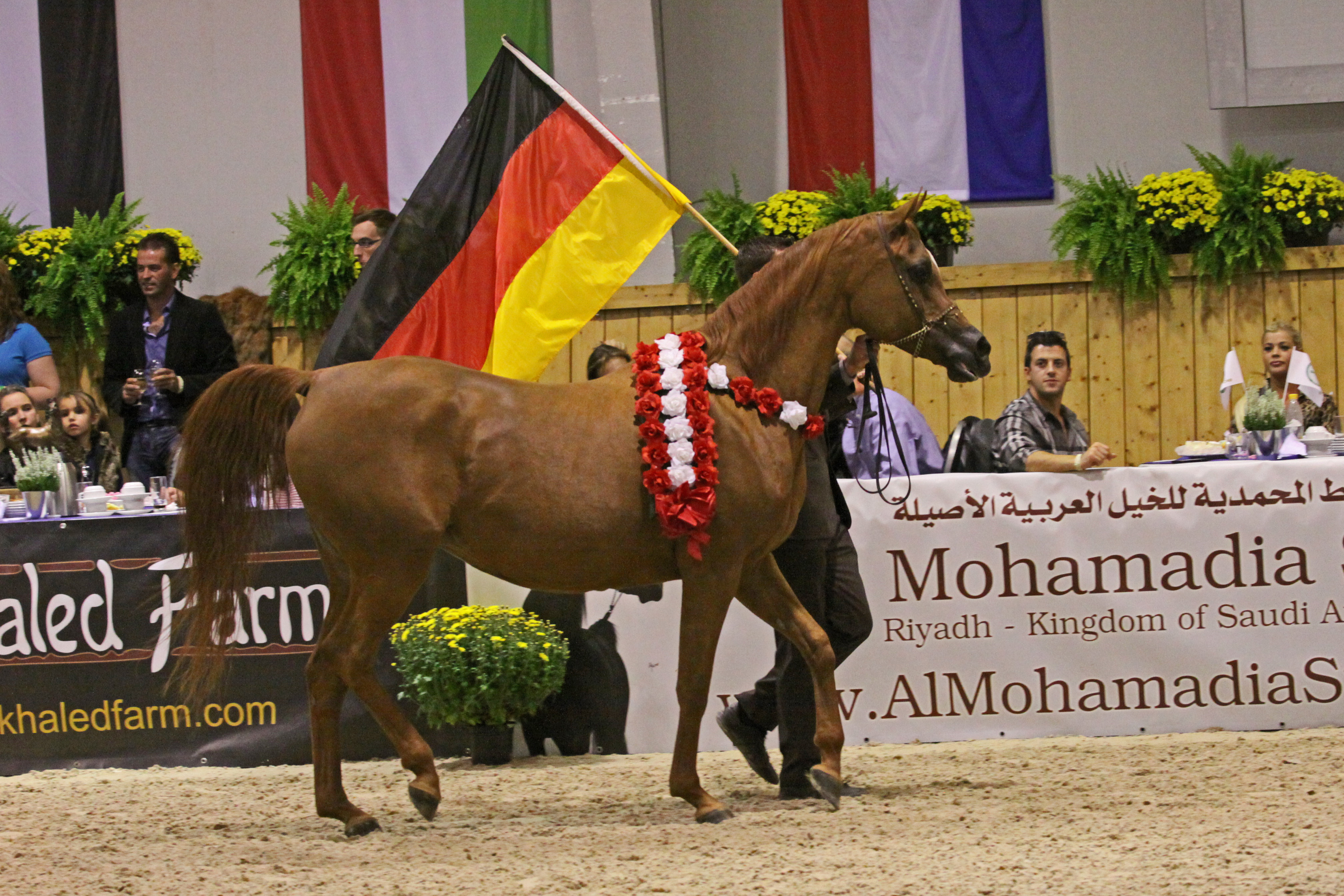 19. Essteema carrying the German flag