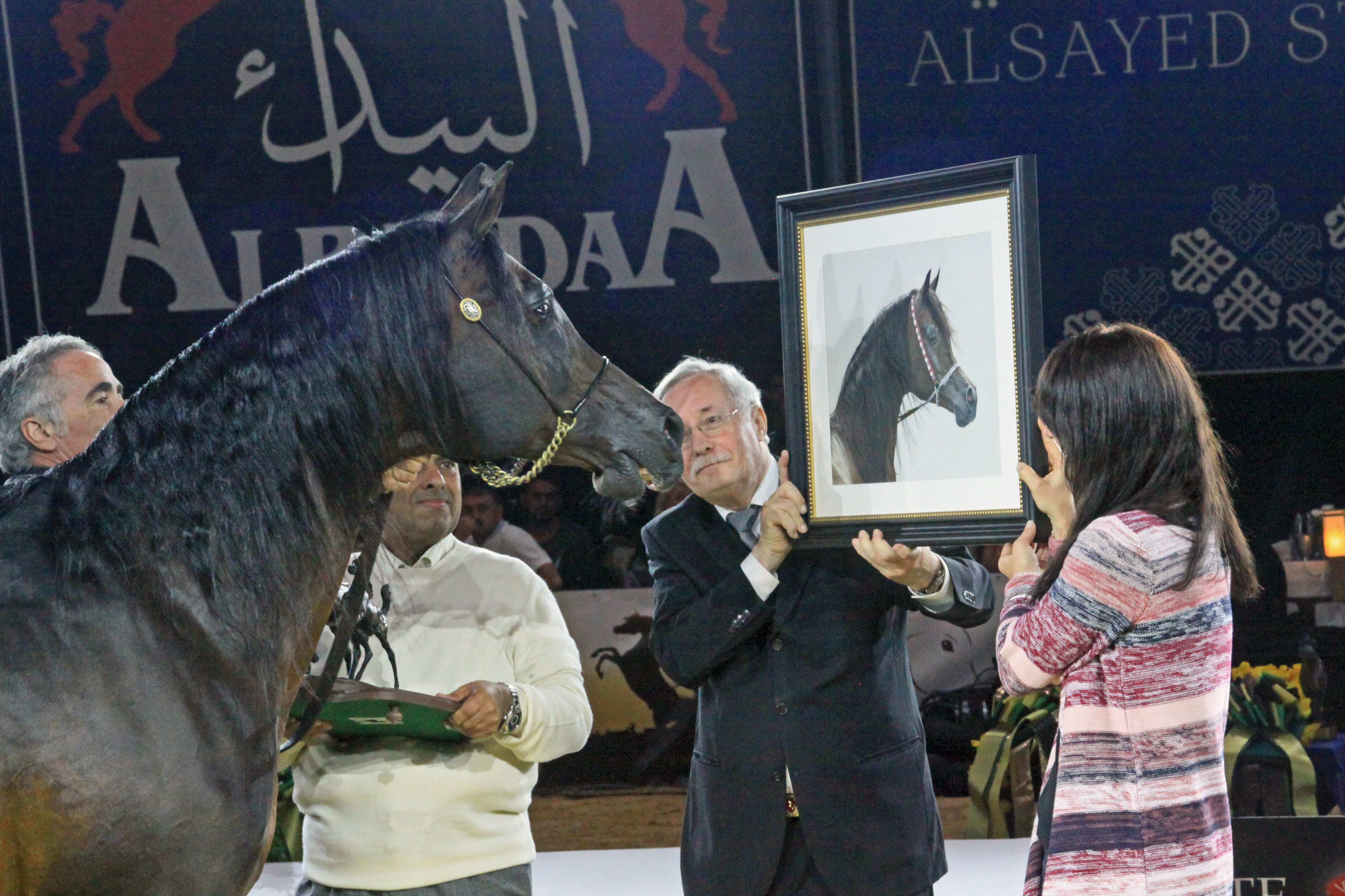 25. Gazal Al Shaqab