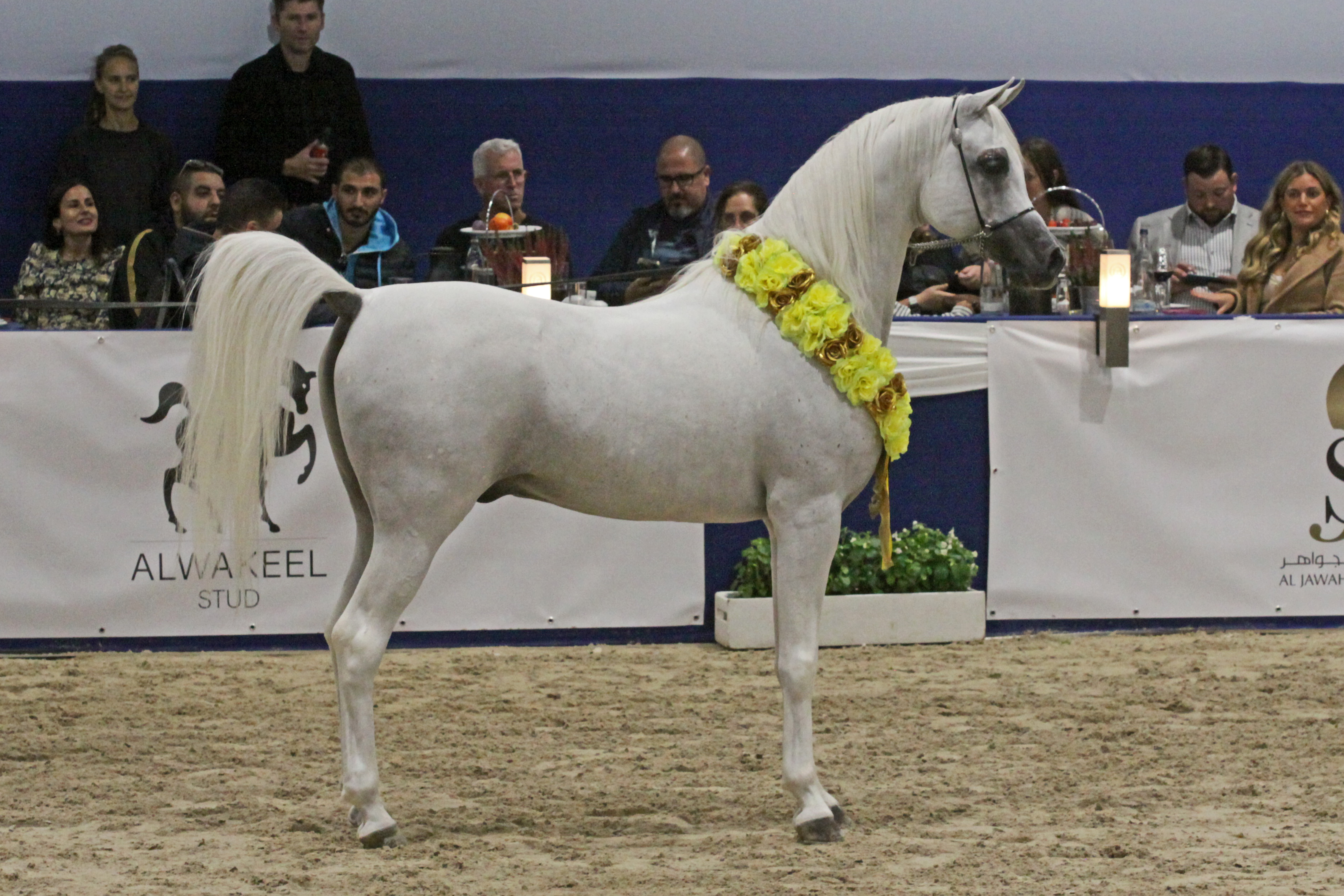 28. PSE Al Rakhan Aa24 49