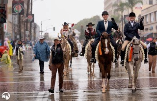 The Rose Parade - A Hell of a View