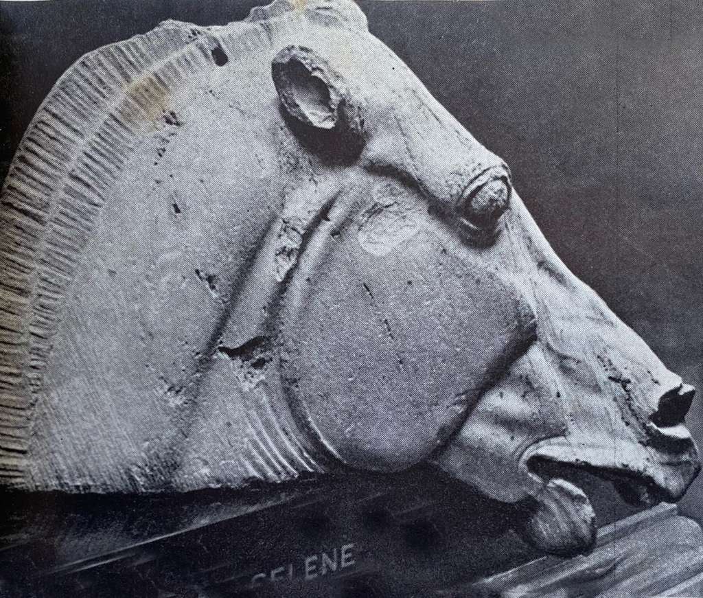 Whispers from the Tent — The Horse From My ...