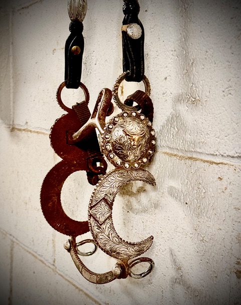 A Cowboy's Perspective