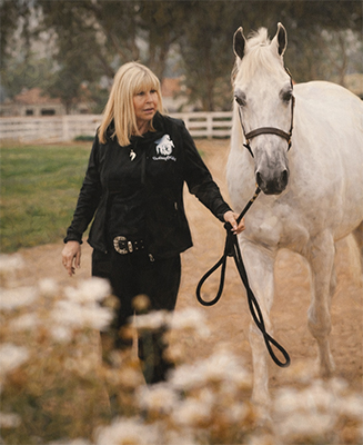 The Forgotten Equines - at Its Core, A Story ...