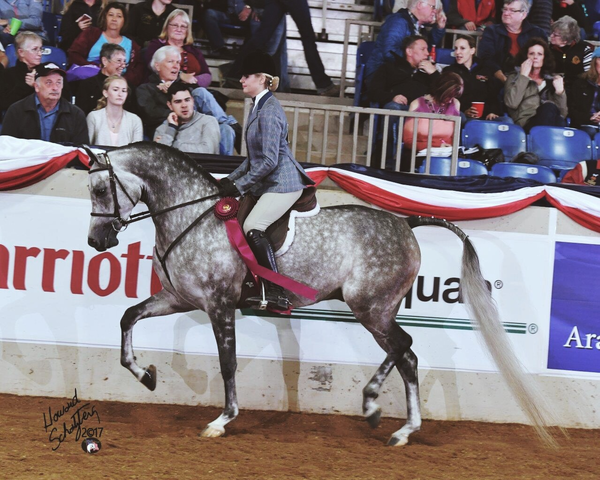 SVA Major Commotion.png