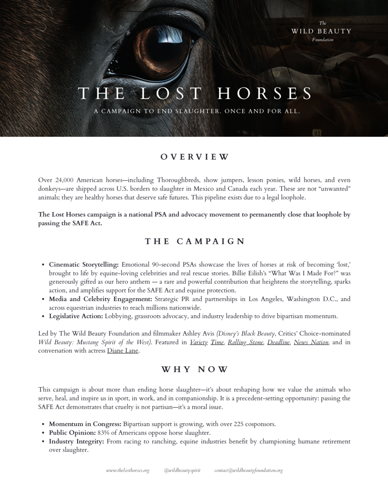 Lost Horses Campaign