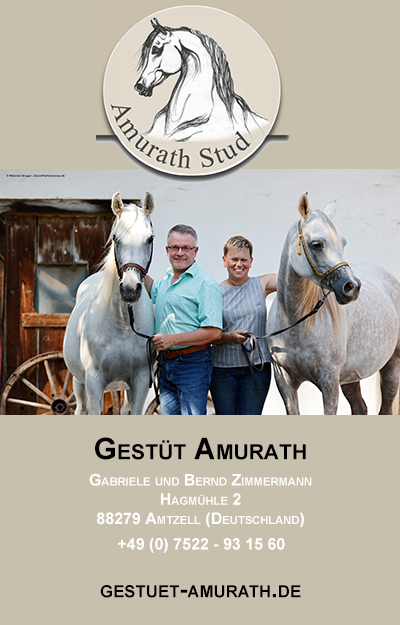 sponsor gestut amurath