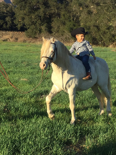 boy on pony