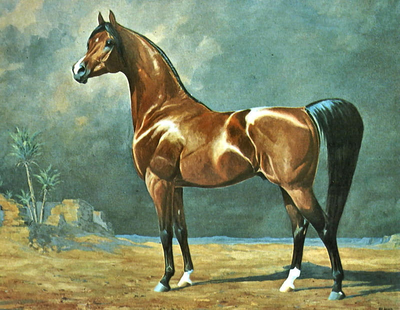 Arabian Type — We Might Know