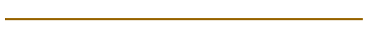 brown horizontal divider