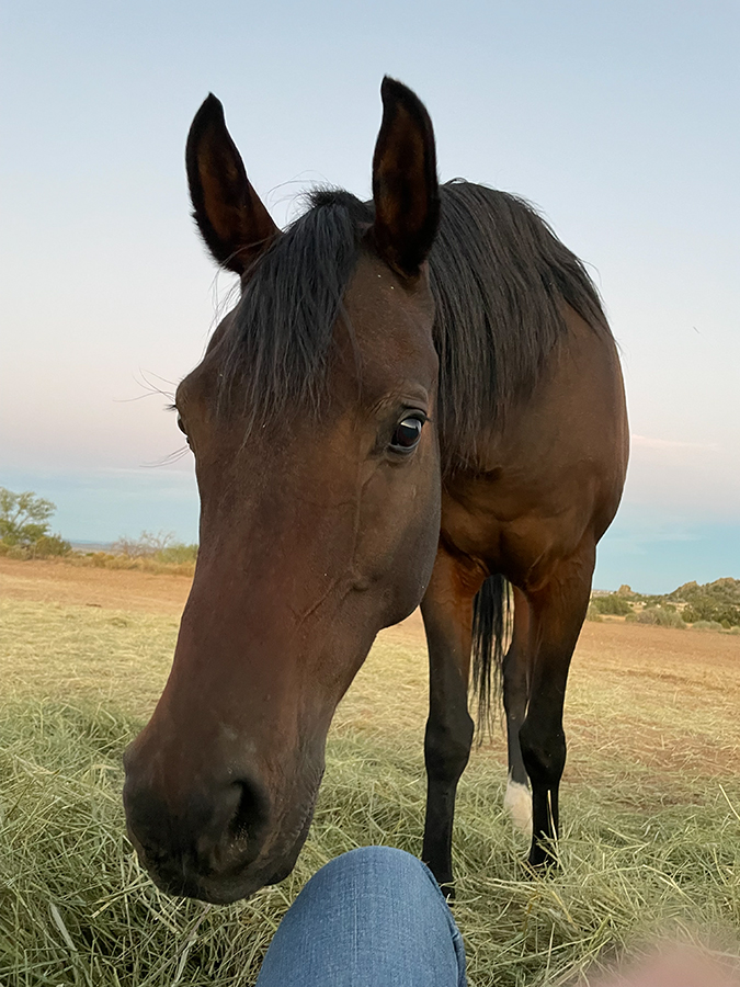 9 laying in hay 7245