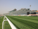 meydan race course copy