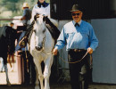 shelbee leadline