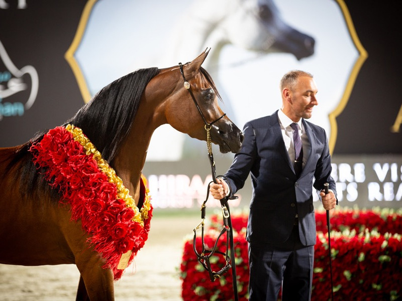 aj alula gold mareoi7a1855 aj alula gold mareoi7a1855