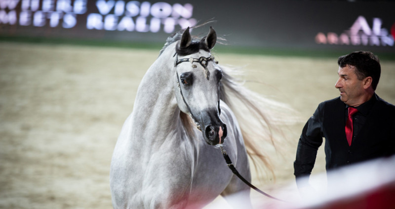 rd rajan gold jcoltoi7a240214 rd rajan gold jcoltoi7a240214