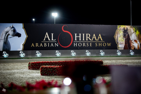 2024 al shiraa intro oi7a3815 2024 al shiraa intro oi7a3815