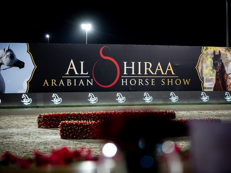 2024 al shiraa intro oi7a3815 2024 al shiraa intro oi7a3815