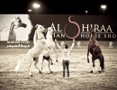 2024 al shiraa show mares rearing