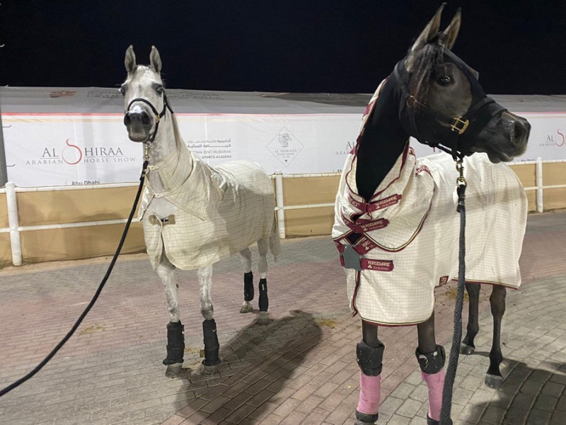 shirin jj and agmal psytara shirin jj and agmal psytara