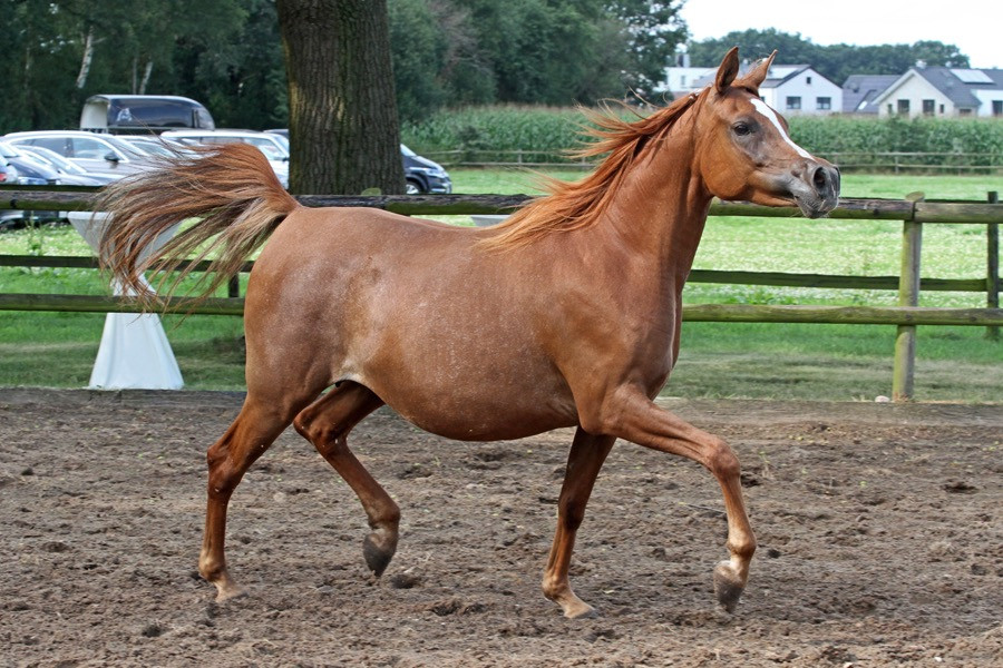 05. moniet el ryah 24   05. moniet el ryah 24