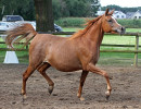 05. moniet el ryah 24  