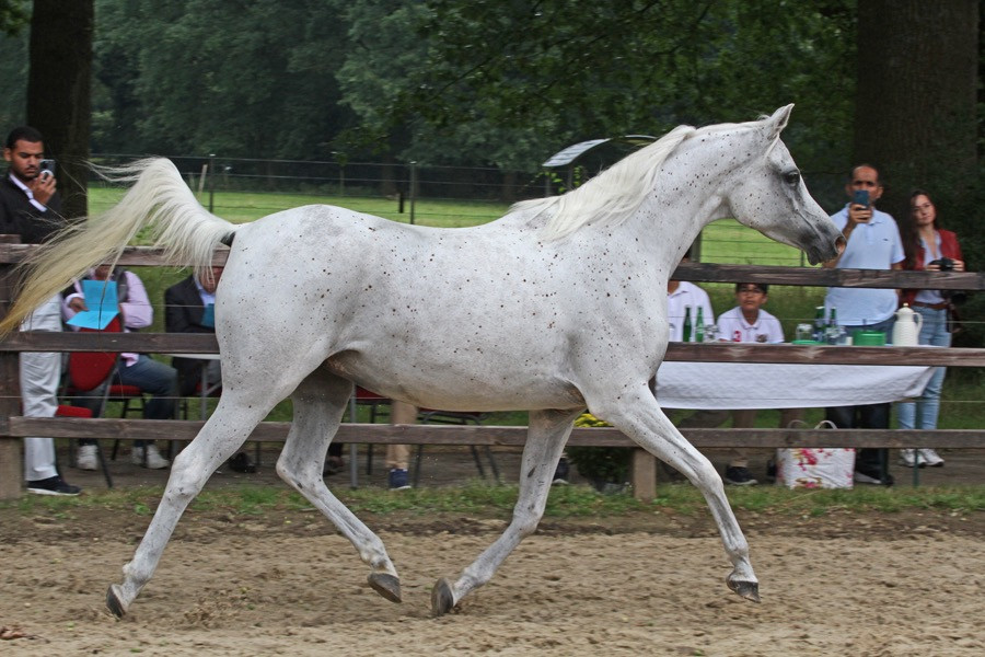 16. mufidah al qusar 24   16. mufidah al qusar 24