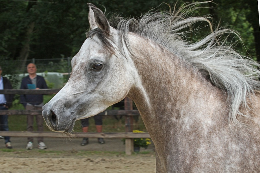 18. meryem al qusar 24   18. meryem al qusar 24