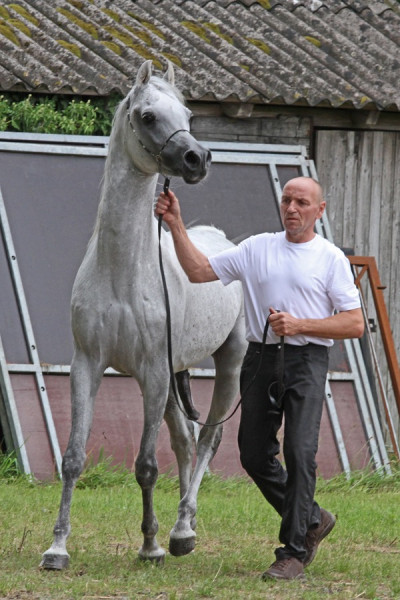 20. majd al qusar4   20. majd al qusar4