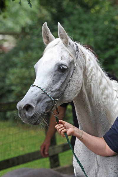 23. nk nerham 24   23. nk nerham 24