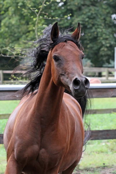 26. nk nay 24   26. nk nay 24