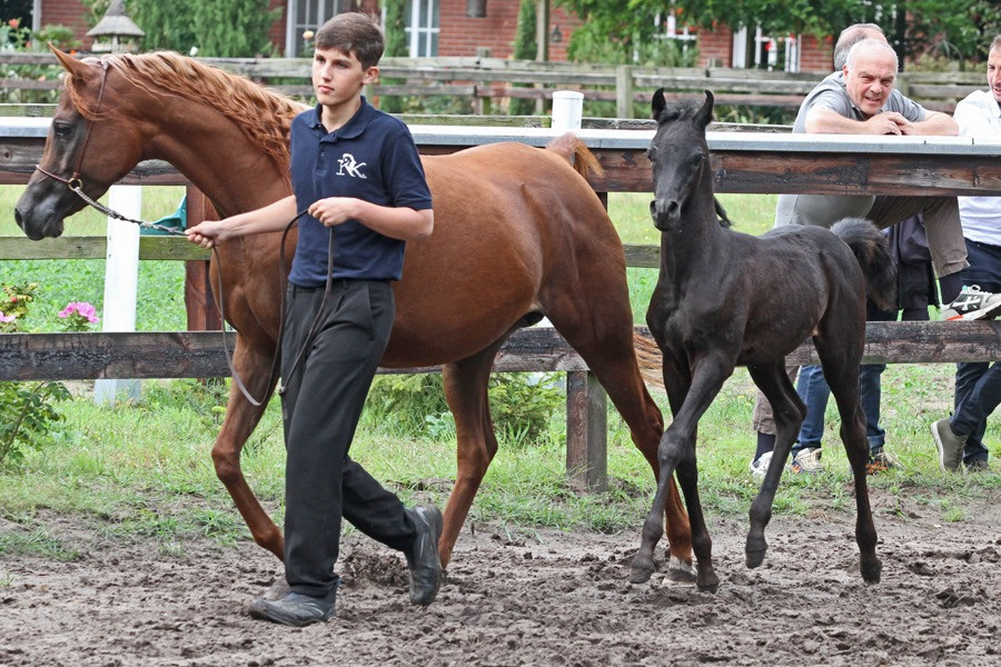 30. nk lamya 24   30. nk lamya 24