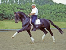 biotop with dr. reiner klimke