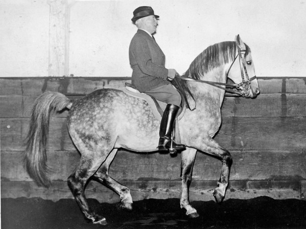 kanzler