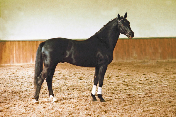 sixtus