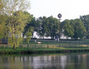 mares pasture by the lake  