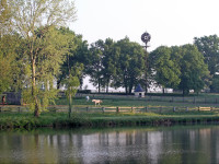 mares pasture by the lake  