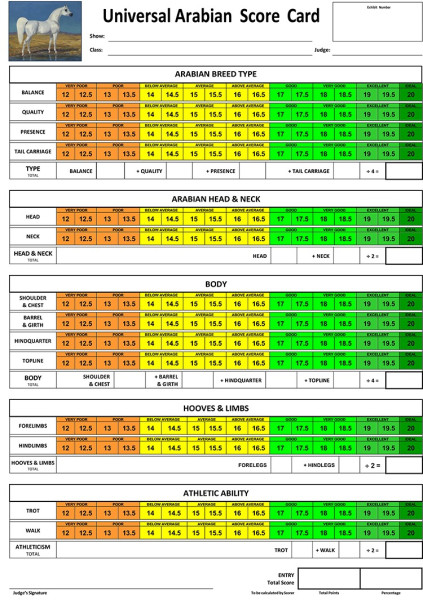 arabian score card evolution