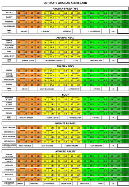 arabian score card ultimate