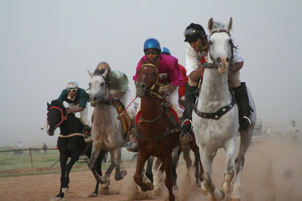 photo race dezful chalderan rt photo race dezful chalderan rt